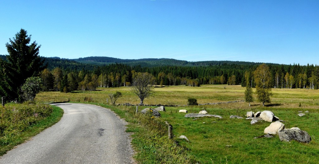 sumava-713296_1920